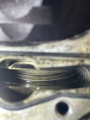 IMG_0576.jpeg