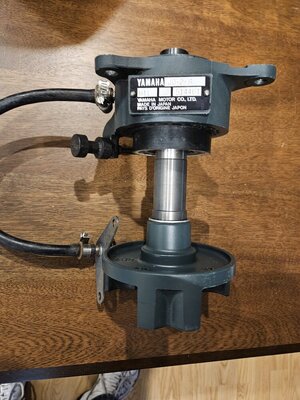 20240621_150257 - Copy.jpg