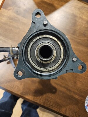 20240621_150316 - Copy.jpg