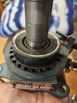 20240621_150327 - Copy.jpg