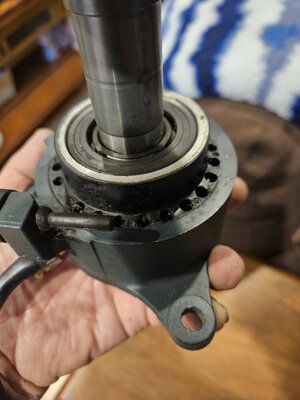 20240621_150336 - Copy.jpg