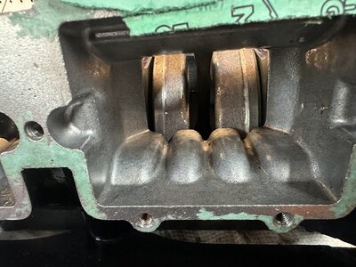 IMG_3262.jpeg IMG_3262.jpeg