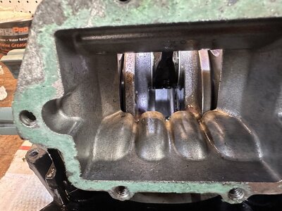 IMG_3263.jpeg IMG_3263.jpeg