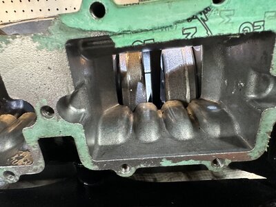 IMG_3264.jpeg IMG_3264.jpeg