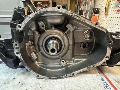 IMG_3269.jpeg IMG_3269.jpeg