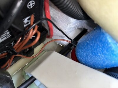 IMG_1755.jpeg