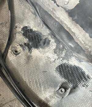 IMG_0038.jpeg