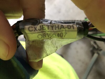 IMG_7072.jpeg