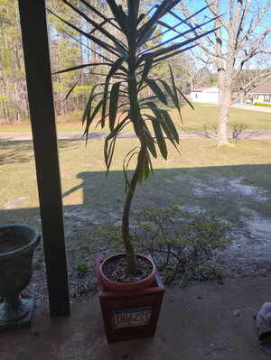 image000000 - 2025-03-17T165256.396.jpg