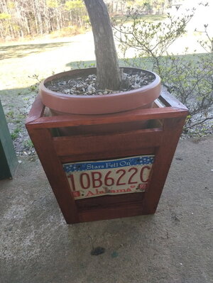 image000000 - 2025-03-17T165251.452.jpg