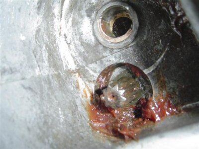 Picture 096 (Small).jpg