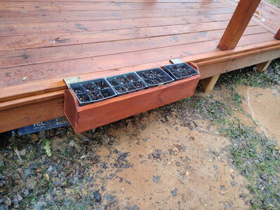 image000000 - 2025-03-24T100209.227.jpg