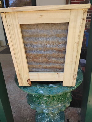 image000000 - 2025-03-18T112238.117.jpg