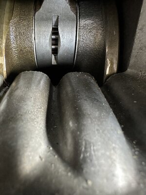 IMG_5570.jpeg