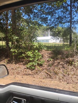 IMG_20250910_120530506_HDR.jpg