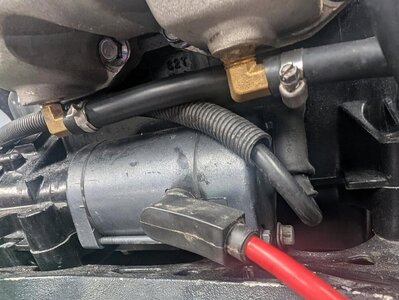 IMG_20251103_071443.jpg IMG_20251103_071443.jpg