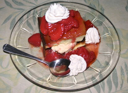 shortcakescope.jpg