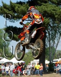 DSC_0962s.jpg