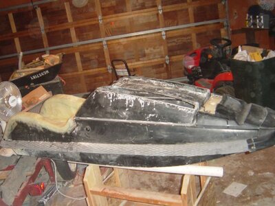 ski lowered hood (1).jpg