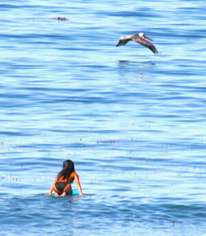 IMG_4308c1.jpg