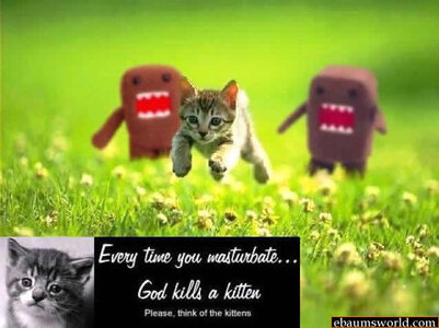 kittengod.jpg