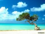 aruba island.jpg
