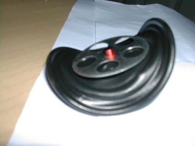 DSCN3584.JPG