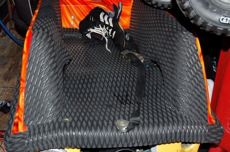 tn_020 turf pics.JPG