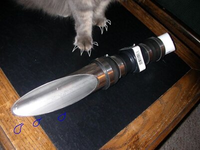 scup2.JPG
