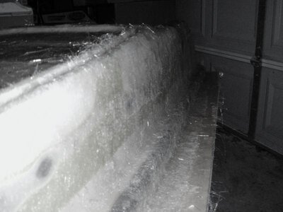 mold.jpg