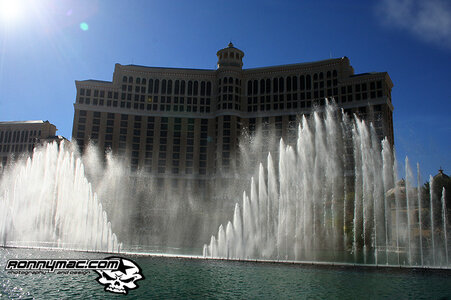 IMG_2549.jpg