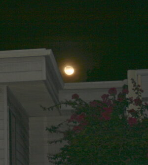 full moon.jpg