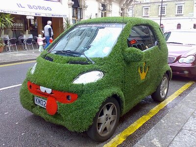 chia_car_1.jpg
