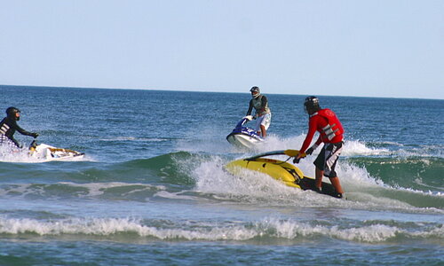 IMG_5988c1.jpg
