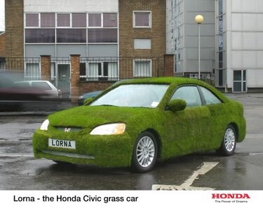 Grass_Car_1.jpg