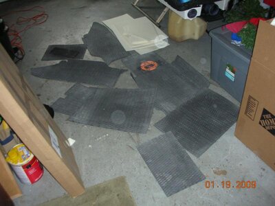 faminly and cats 081.jpg