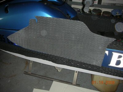 faminly and cats 082.jpg