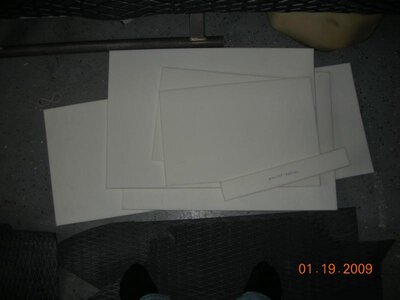 faminly and cats 084.jpg