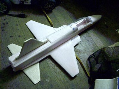 tigershark 1 .jpg.jpg