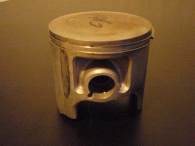 P2010046 (Large).jpg