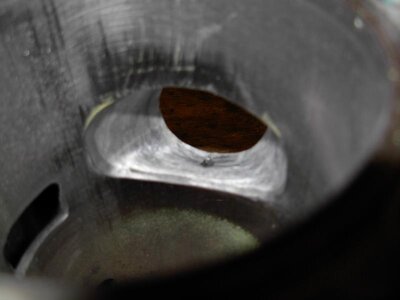 DSCN5627.jpg