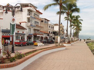 P1010008.jpg