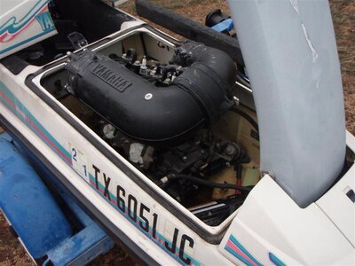 P3140119 (Medium).JPG