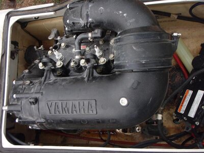 P3140120 (Medium).JPG