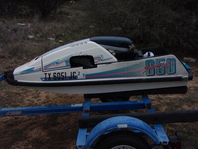 P3140129 (Medium).JPG