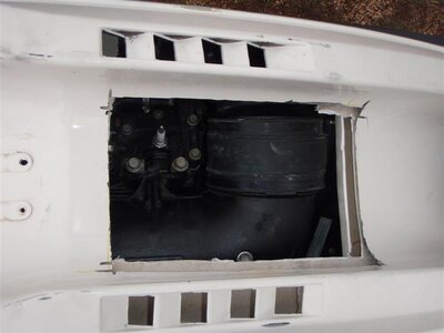 P3140126 (Medium).JPG