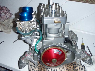 P3250186 (Medium).JPG