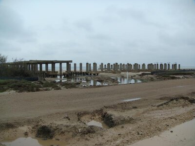 DSC01442.jpg
