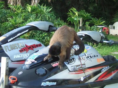 2005_0314jetskimanny0075.jpg