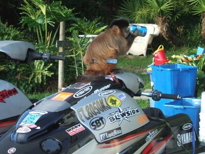 2005_0314jetskimanny0071.jpg
